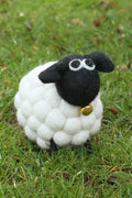 Tessa the Lamb
