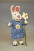 Daisy the Rabbit