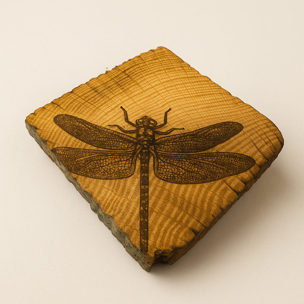 Wooden block with a dragonfly engraving on a beige background