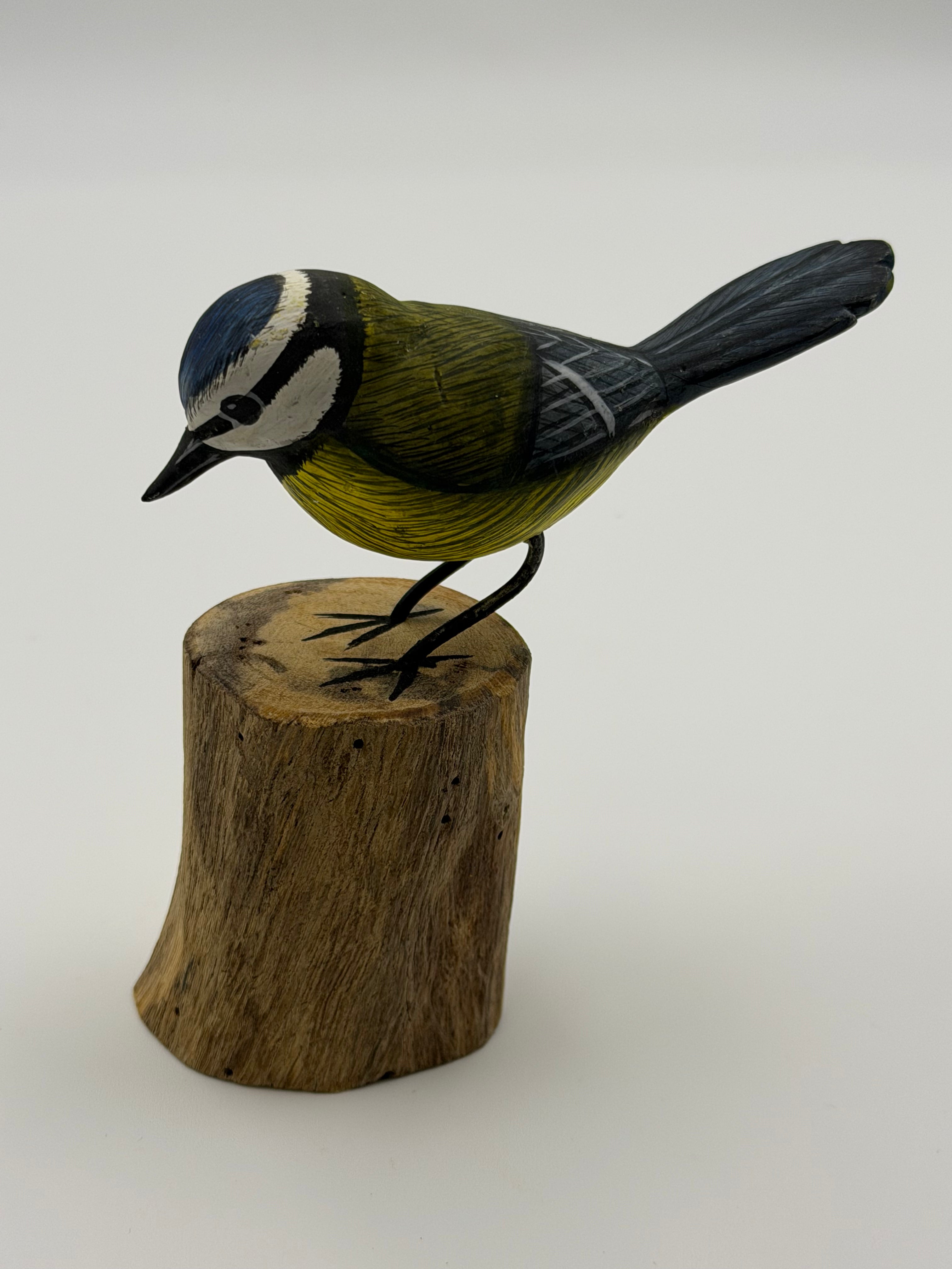 Blue Tit