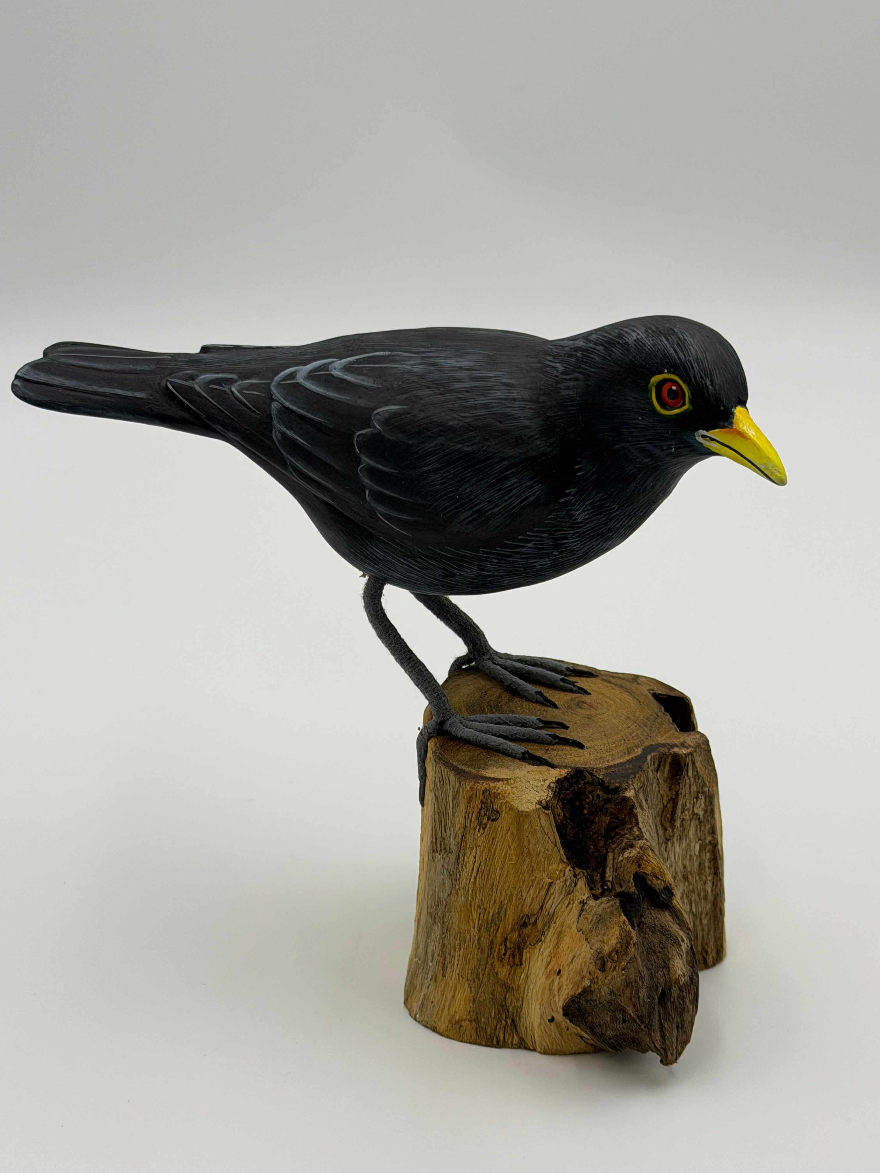 Blackbird