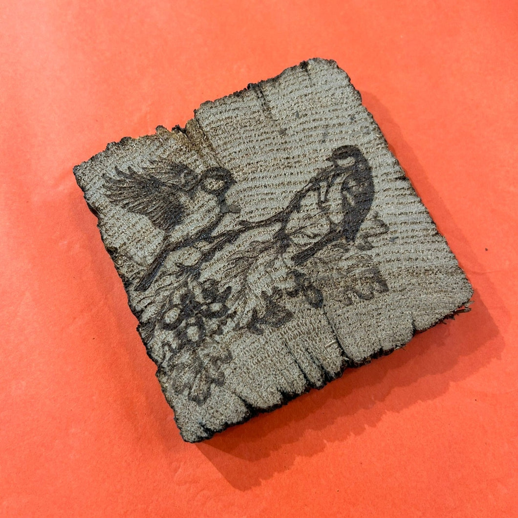 Blue Tit Coaster