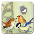 1 Bird Coaster