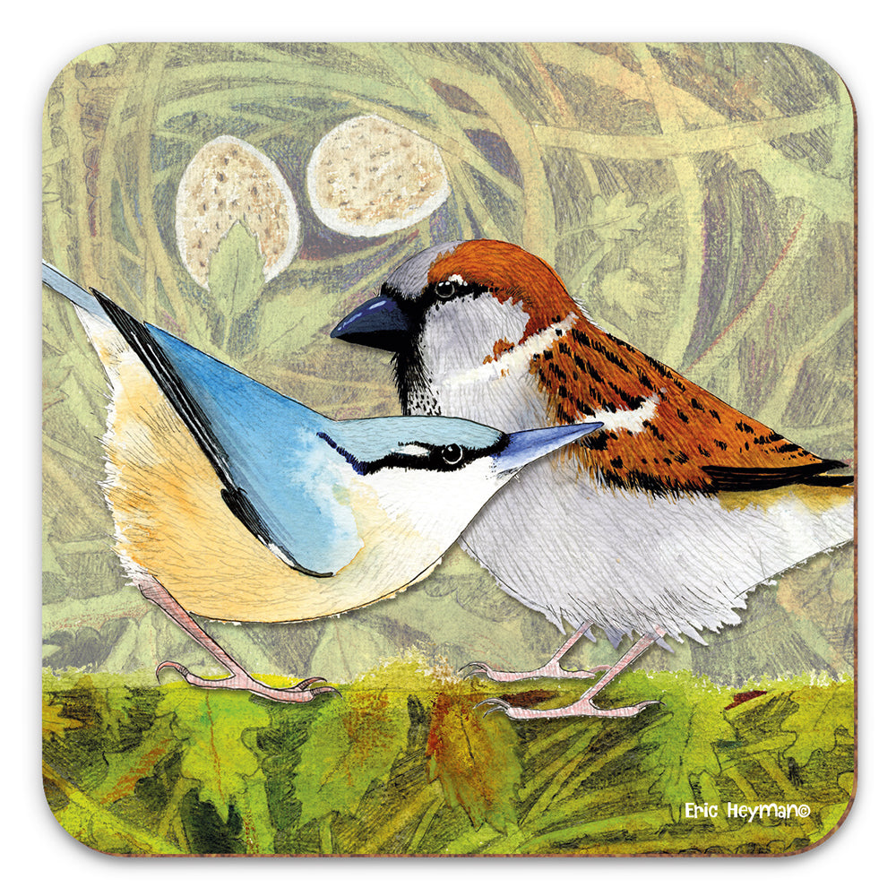 2 Bird Coaster