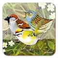 4 Bird Coaster