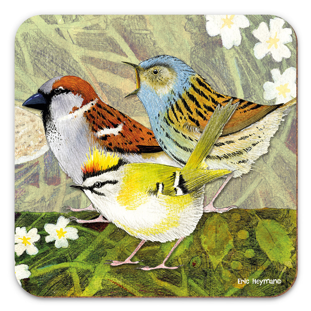 4 Bird Coaster