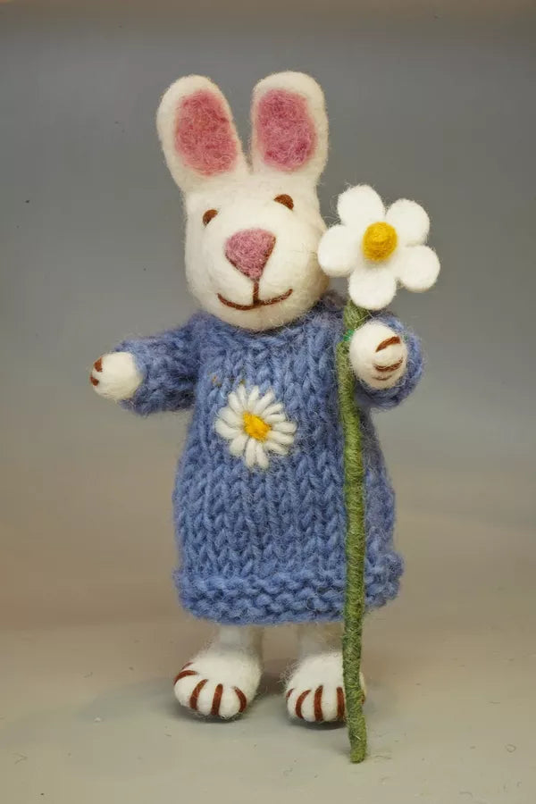 Daisy the Rabbit