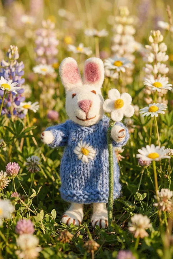 Daisy the Rabbit