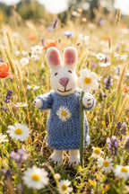 Daisy the Rabbit