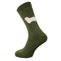 Men's green wool socks with fluffy sheep