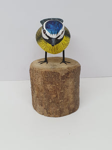 Blue Tit