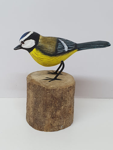 Blue Tit