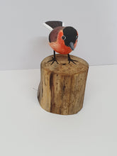 Bullfinch