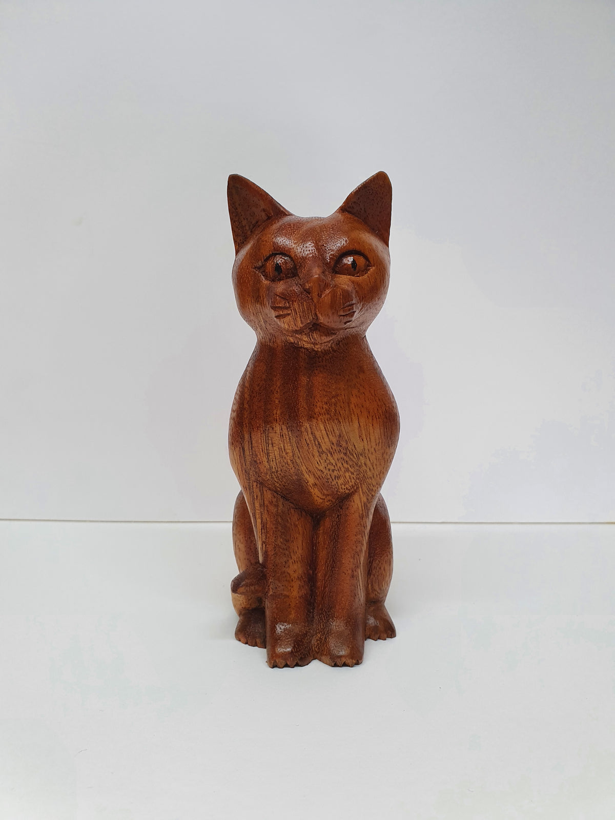 Cat Sit Up15