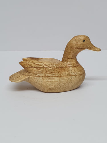 Small Duck