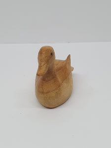Small Duck