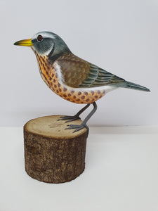 Fieldfare