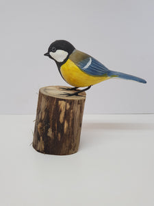 Great tit