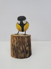 Great tit