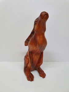 Sitting Hare