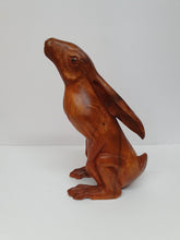 Sitting Hare