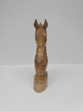 HorseHead 15