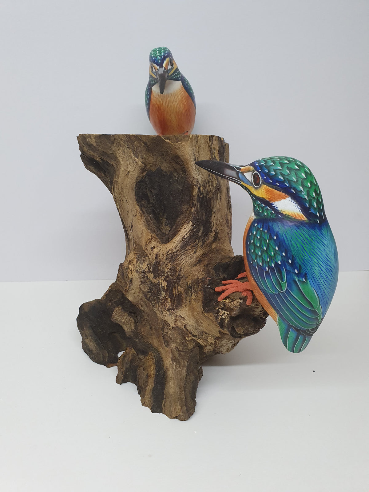 Double King Fisher