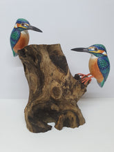 Double King Fisher