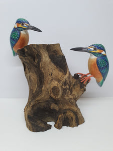 Double King Fisher