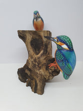 Double King Fisher