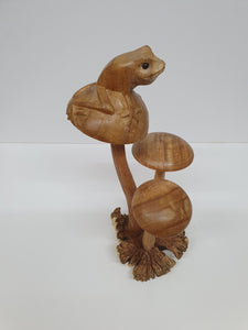 Frog Mushrooms