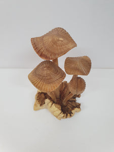 Small Mushroom Cluster