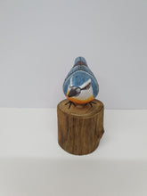 Nuthatch