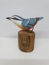 Nuthatch