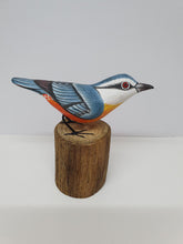 Nuthatch