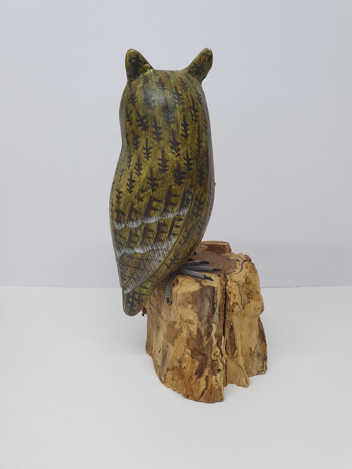 Long-eared Owl