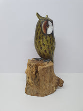 Long-eared Owl
