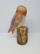 Barn Owl