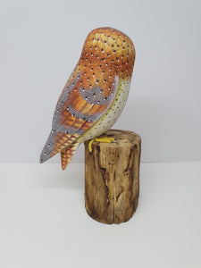 Barn Owl