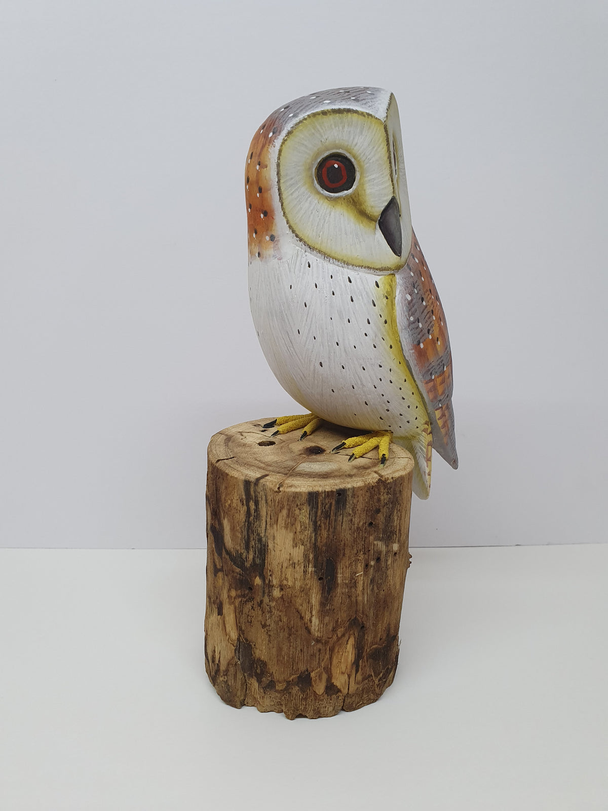 Barn Owl