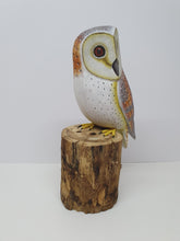 Barn Owl