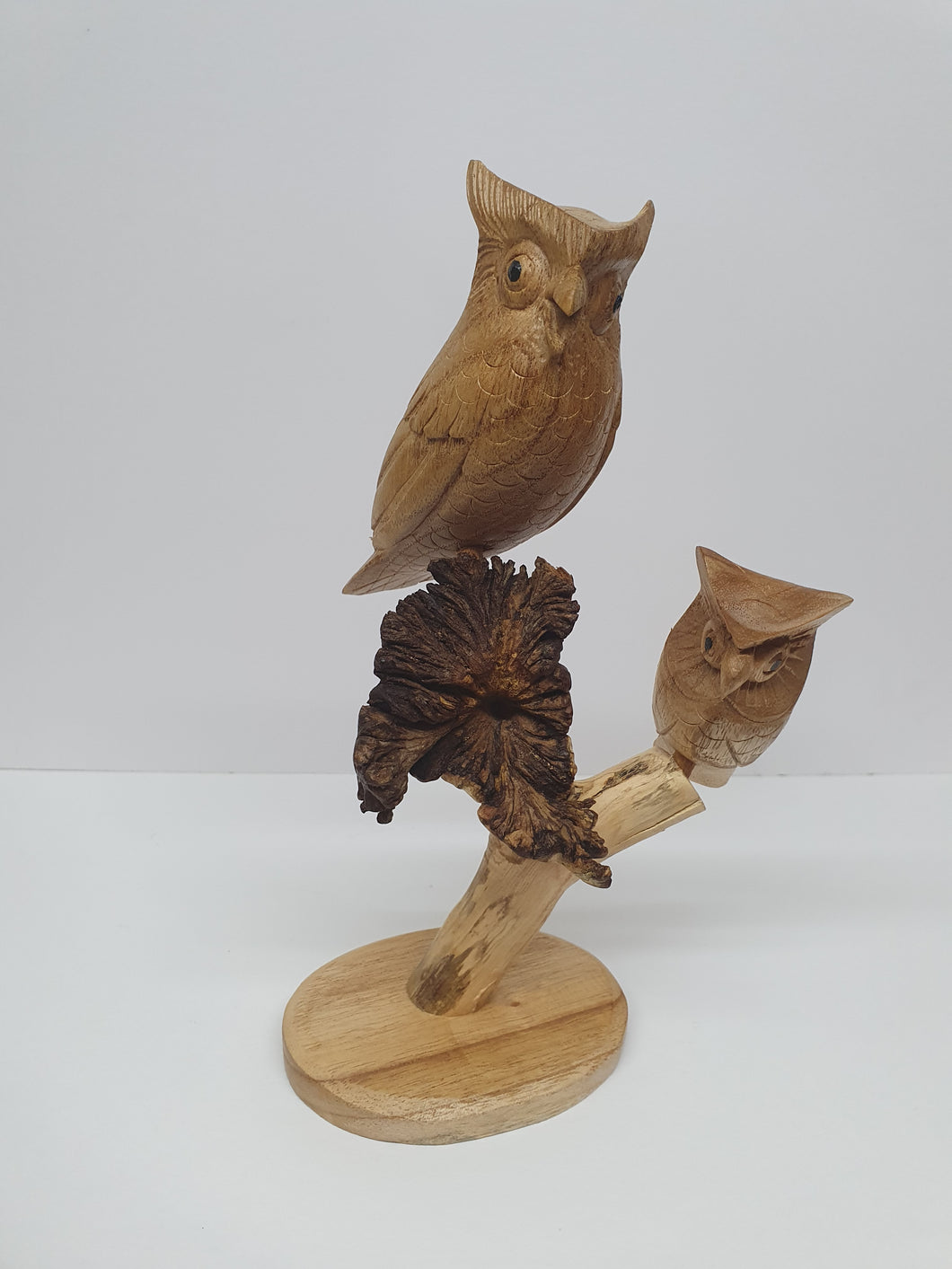 Double Owl Branch