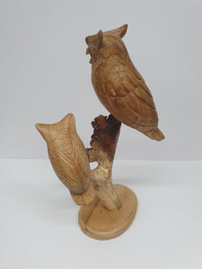 Double Owl Branch