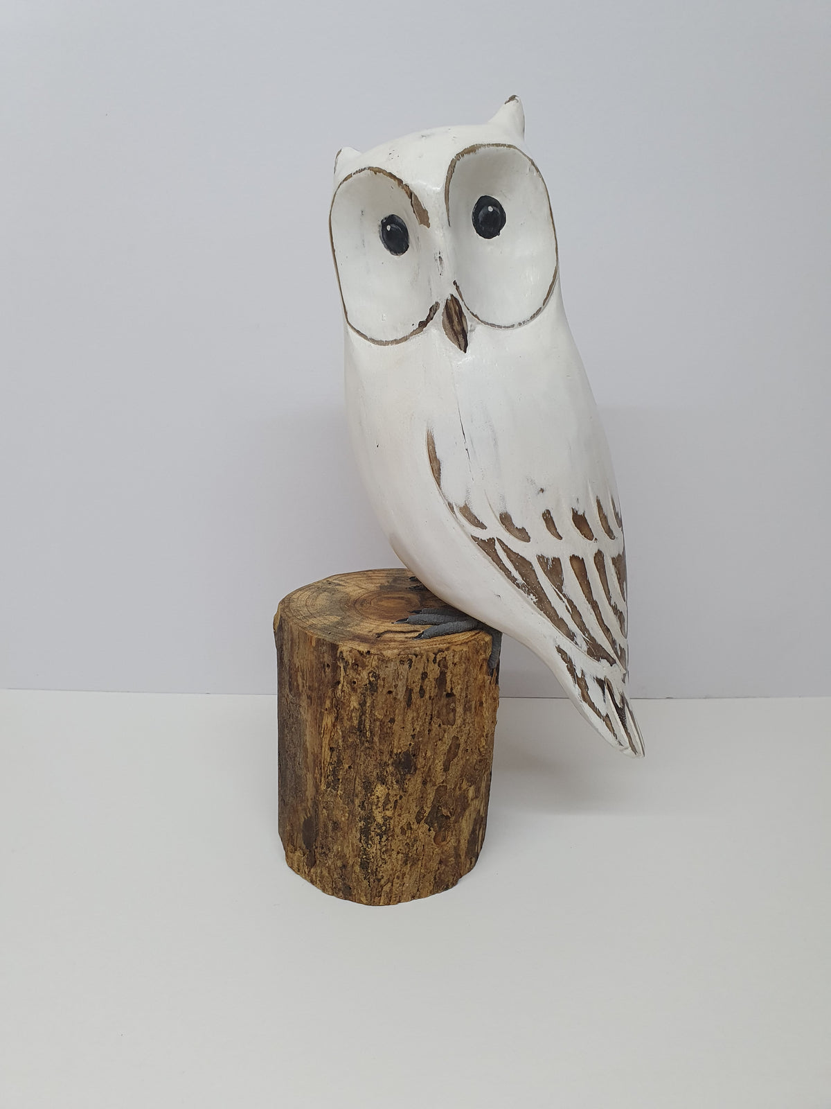 White Long-eared Owl 25cm