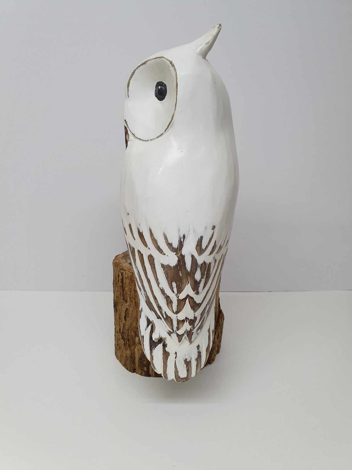 White Long-eared Owl 25cm