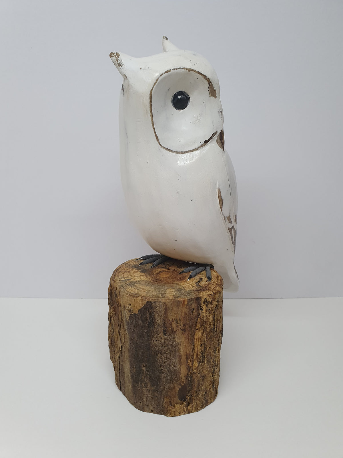 White Long-eared Owl 25cm