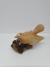 Nesting Bird