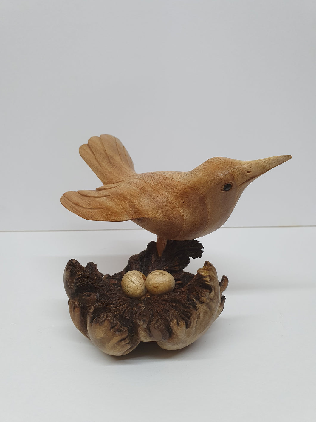 Nesting Bird