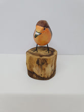Robin
