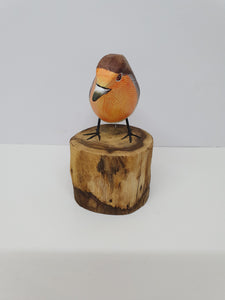 Robin